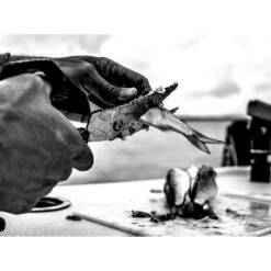 Cisaille Processor Take-A-Part GERBER -Magasin De Couteaux cisaille processor take a part gerber 5